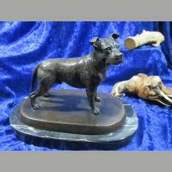 Bronze American Staffordshire terrier